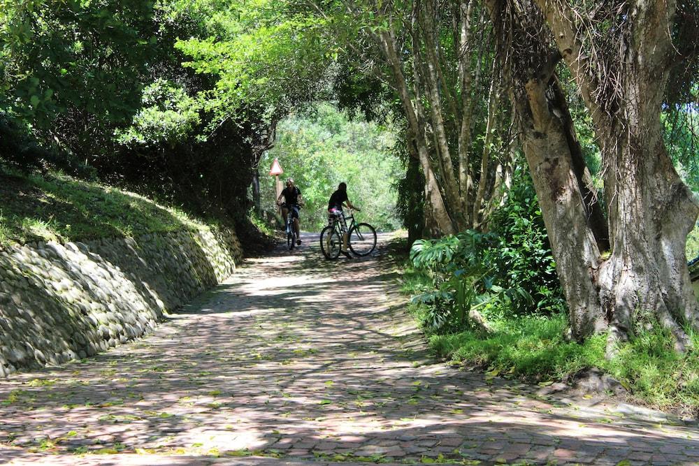 Blackwaters River Lodge, Knysna Ngoại thất bức ảnh