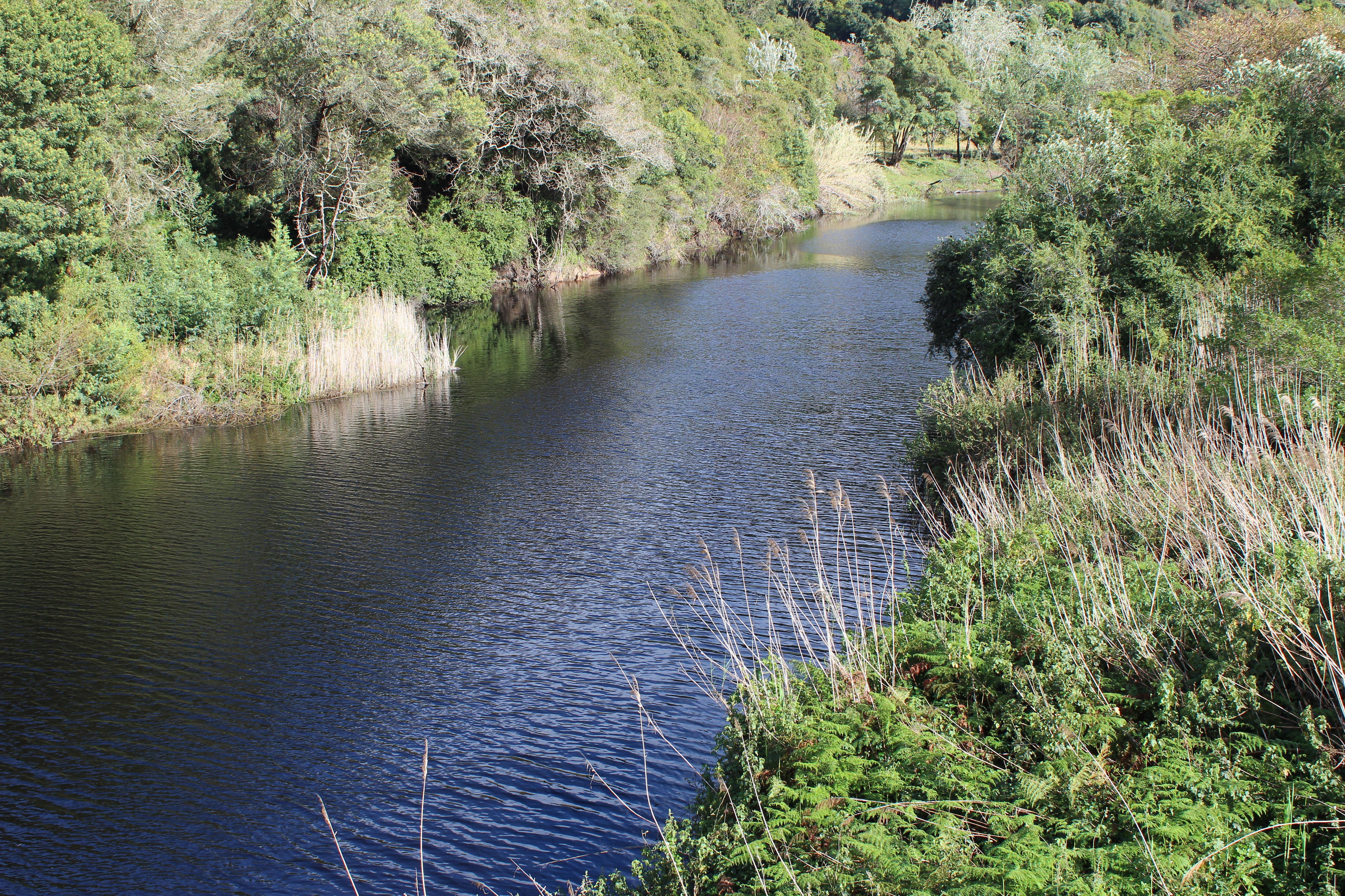 Blackwaters River Lodge, Knysna Ngoại thất bức ảnh