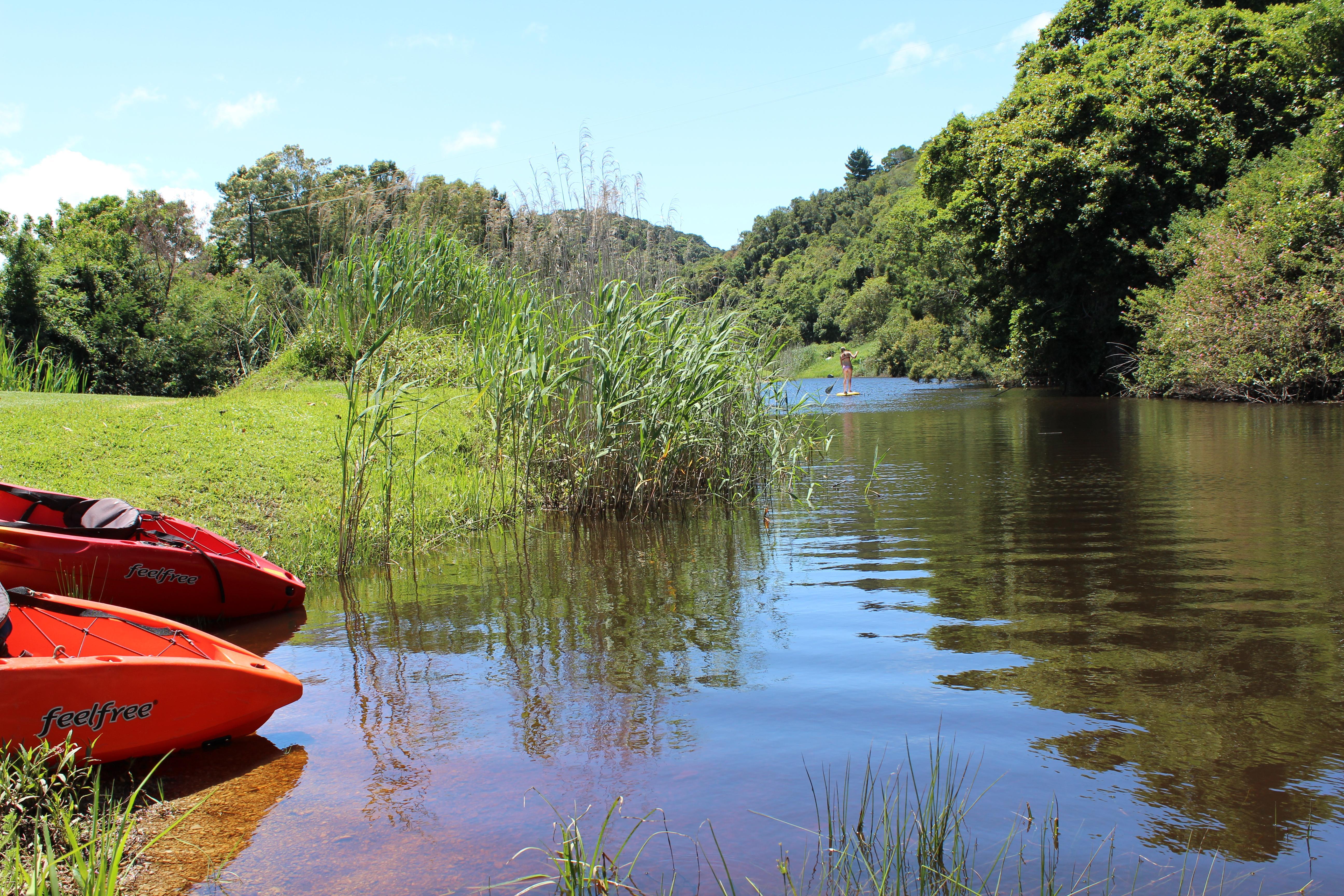 Blackwaters River Lodge, Knysna Ngoại thất bức ảnh